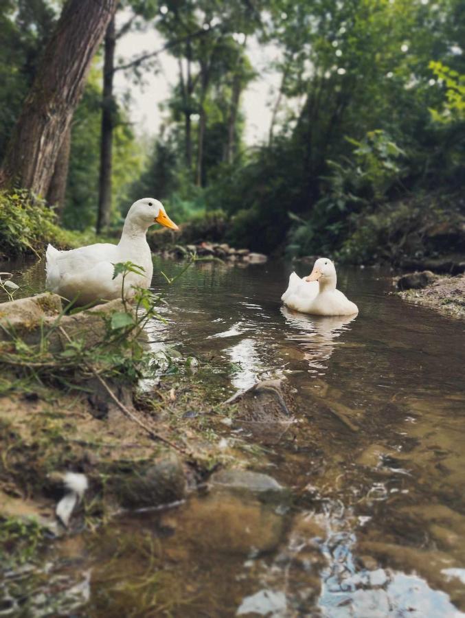 Gospodarstwo Agroturystyczne U Ani Krosnica  Bagian luar foto